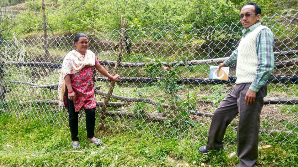 From Struggle to Success: How Ganga Devi’s Go...