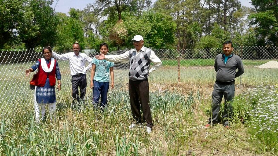 The Bakery Unit: Empowering Rural Women and T...