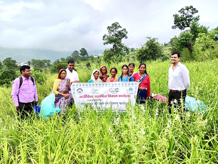 Sowing Seeds of Prosperity: How Millet Farming is Empowering Farmers and Tr...