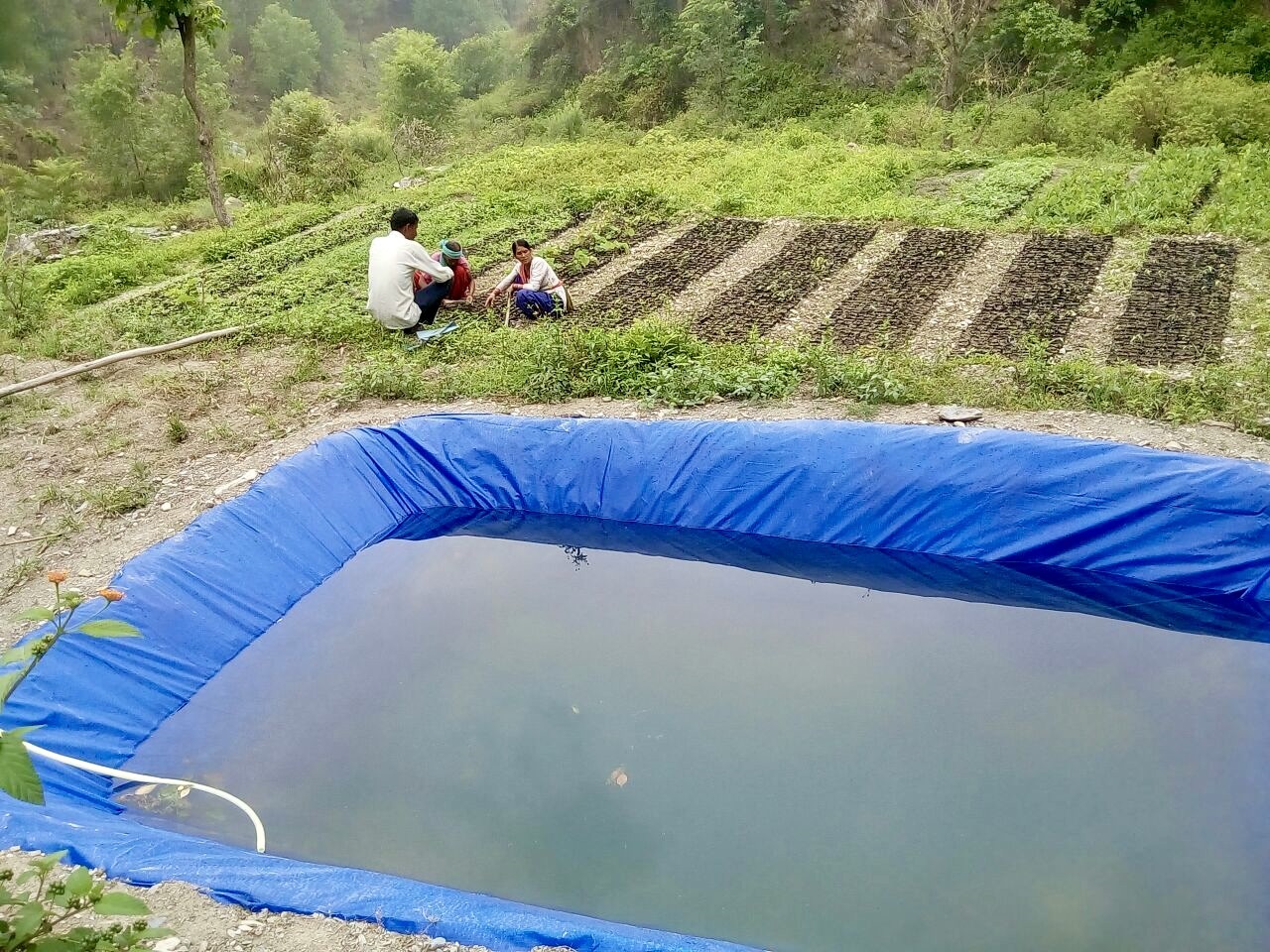Integrated Livelihood Support Project (ILSP-W...