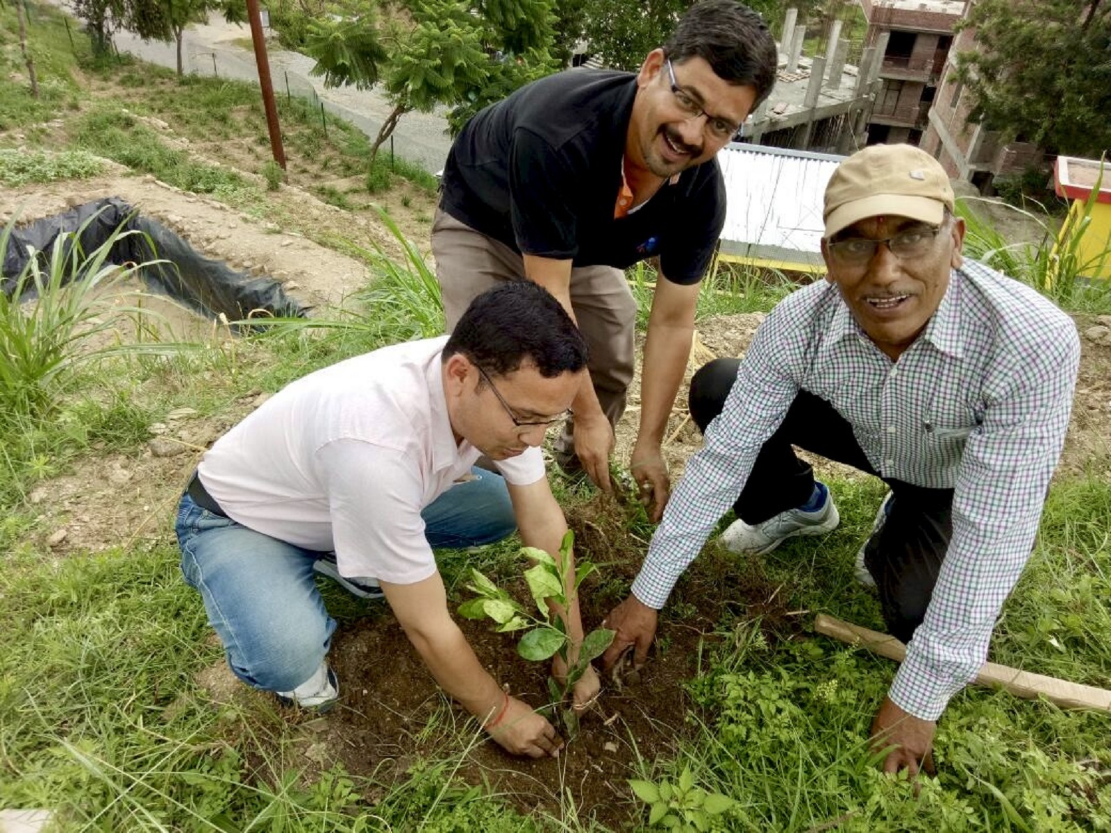 Integrated Livelihood Support Project (ILSP) 