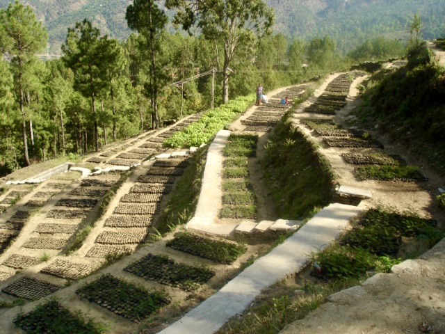 Uttarakhand Livelihood Improvement Project fo...