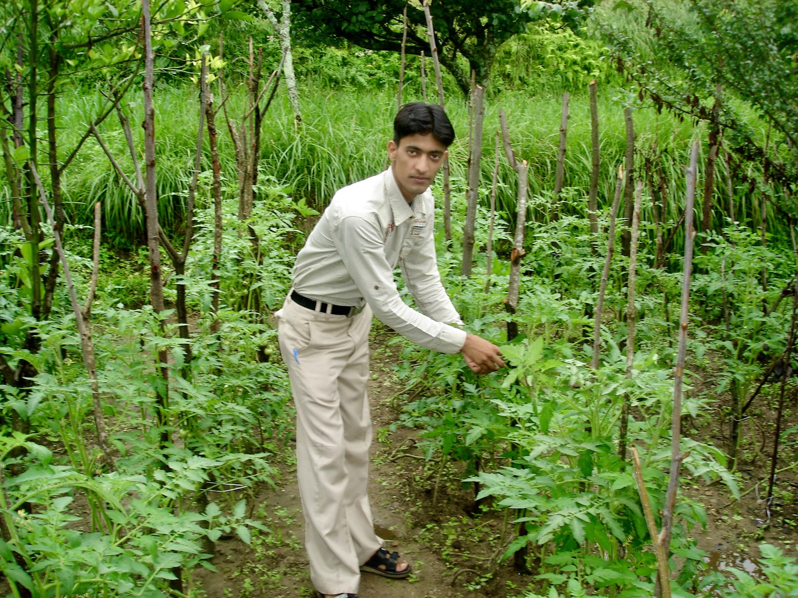 National Environment Awareness Campaign 
